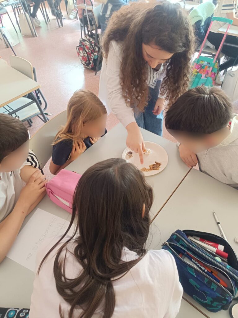 Ceip foto 3